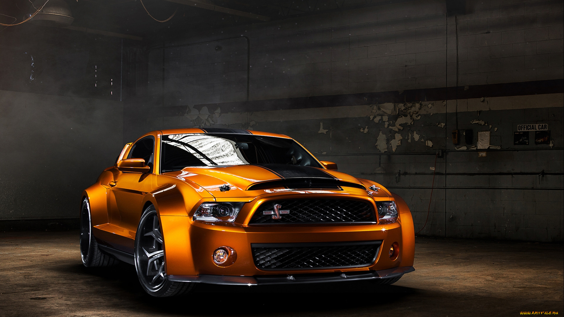 , mustang, gt500, shelby, ford
